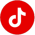 VK Icoon Tiktok